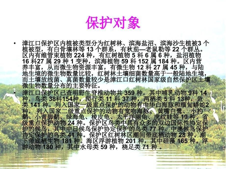 《海岸护卫红树林》PPT课件.ppt_第5页