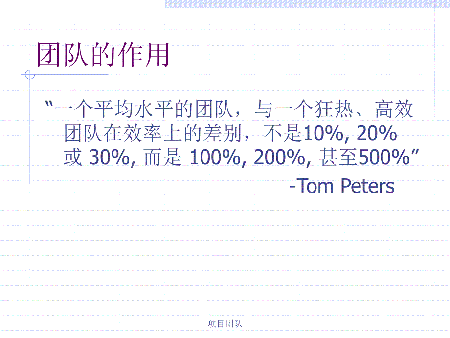 项目团队课件_第2页