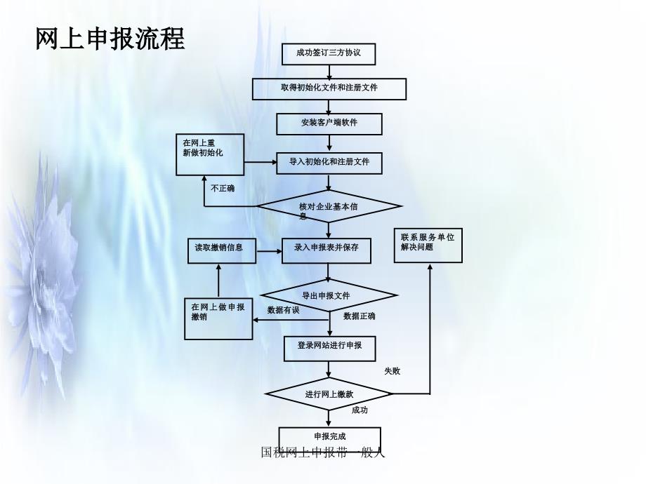 国税网上申报带一般人课件_第4页