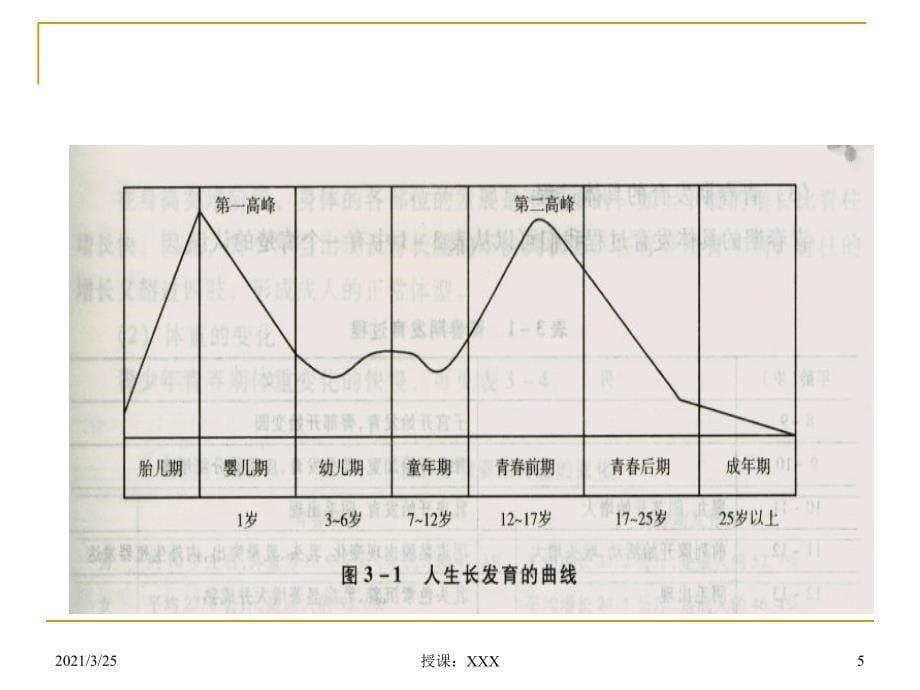 青少年的生理特征PPT课件_第5页