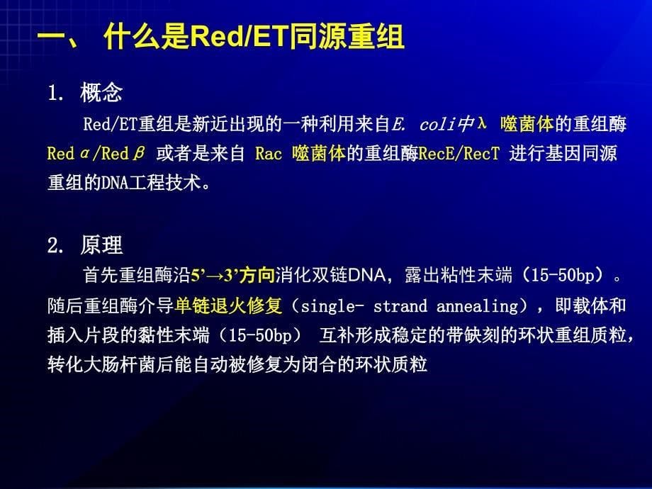 RedET同源重组技术概述_第5页