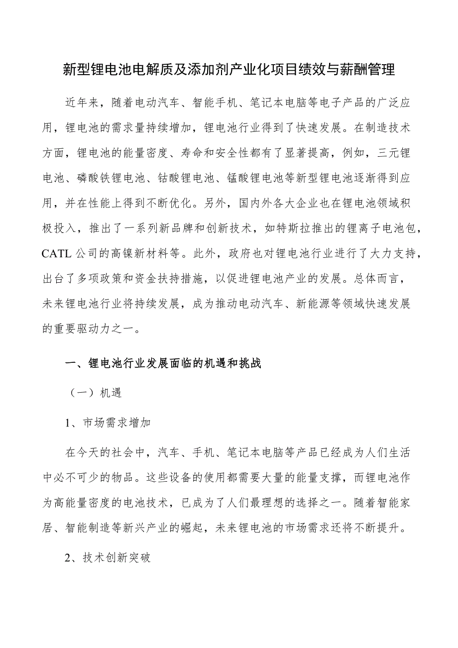 新型锂电池电解质及添加剂产业化项目绩效与薪酬管理_第1页