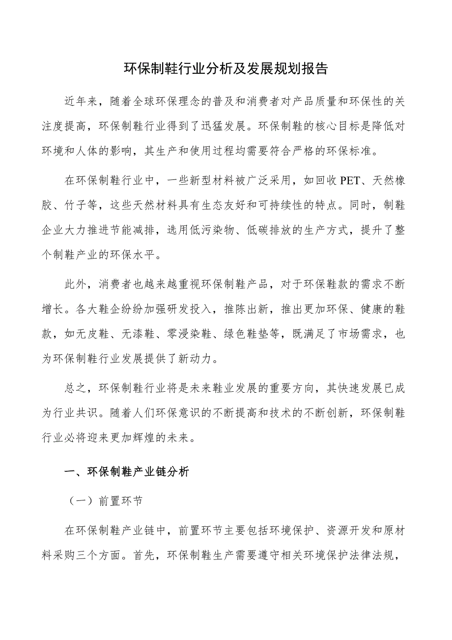 环保制鞋行业分析及发展规划报告_第1页