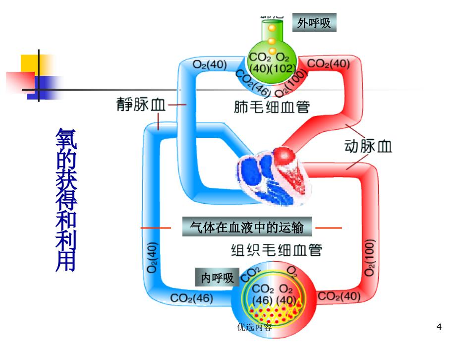 病理生理学(缺氧)（业内荟萃）_第4页