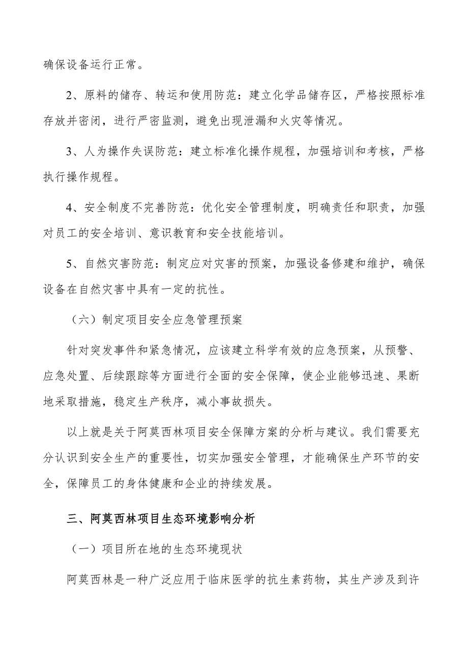 阿莫西林项目安全保障方案_第5页