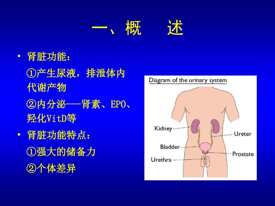 学时6肾功能、心功能检查_第3页