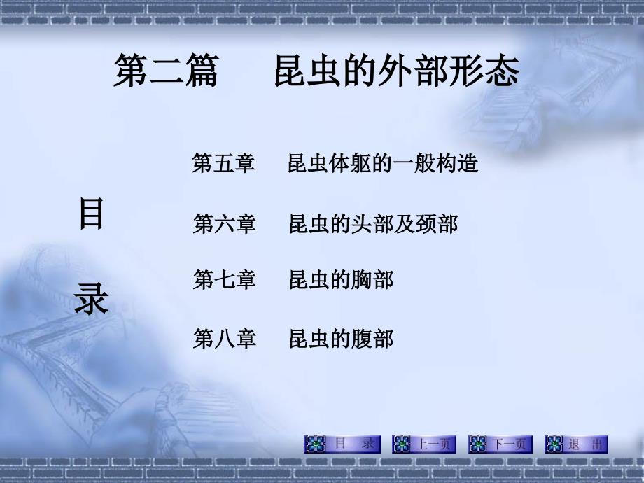 昆虫的外部形态_第1页