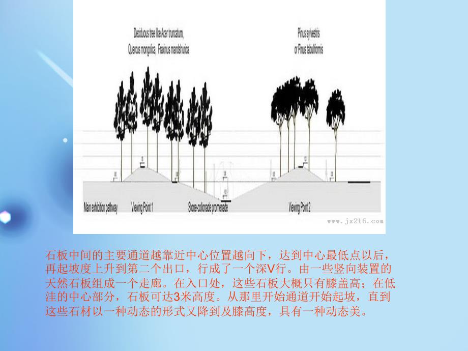 北京园博会之大师园彼得拉茨雾中叶脊课件_第4页