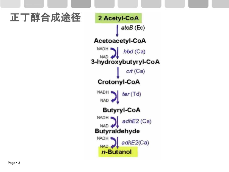 细胞工厂的构建及应用ppt课件_第3页