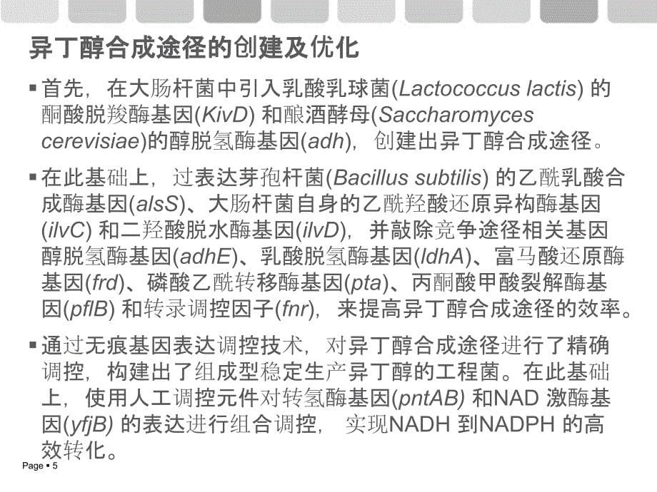 细胞工厂的构建及应用ppt课件_第5页