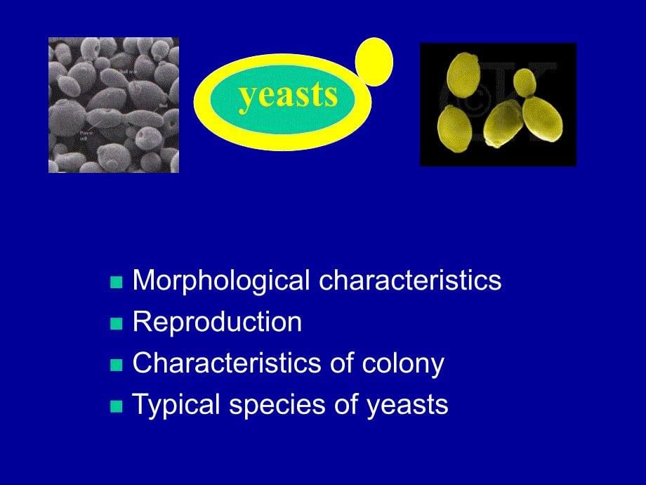 临床微生物真菌学英文_第5页