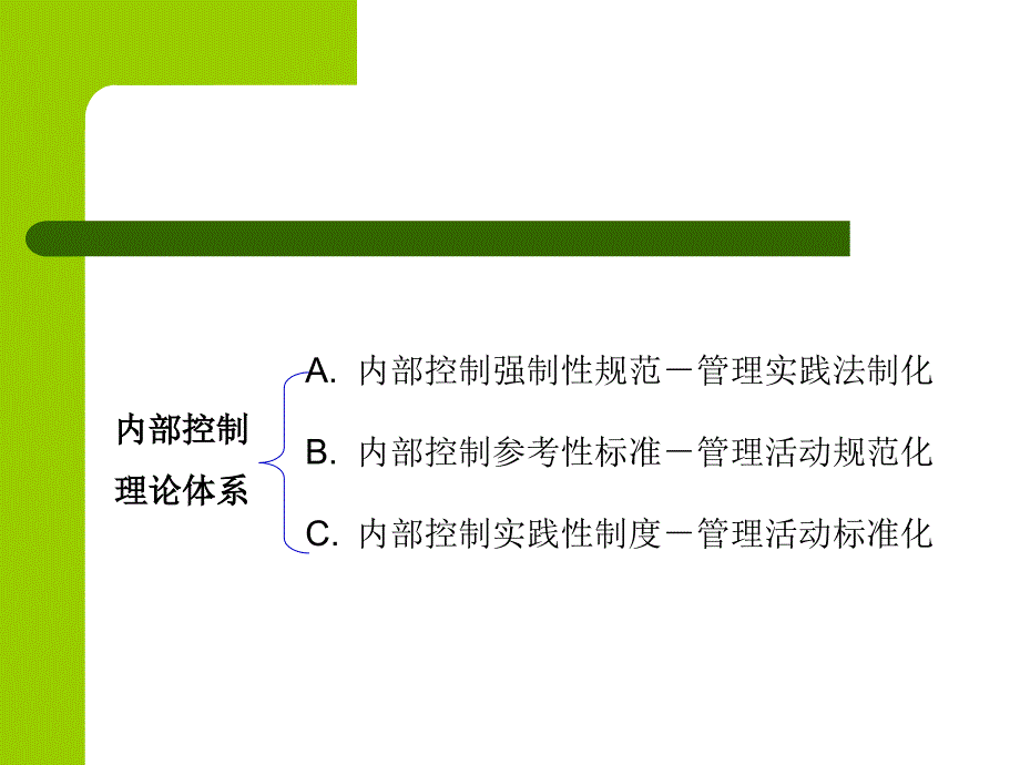 强制性内部控制规范_第2页