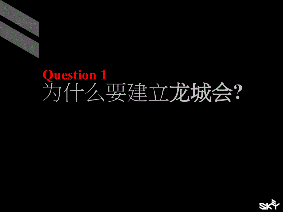 龙城会营销战略_第2页