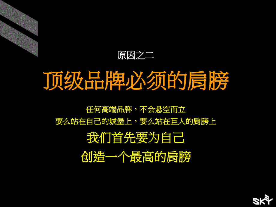 龙城会营销战略_第4页