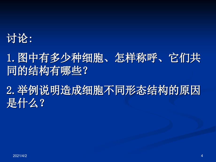 人教版教学课件黑龙江省佳木斯市抚远一中高一生物12细胞的多样性和统一性课件必修一_第4页