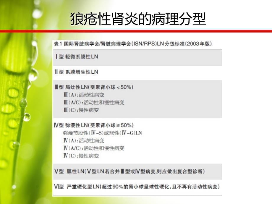 狼疮性肾炎的临床诊治课件.ppt_第5页