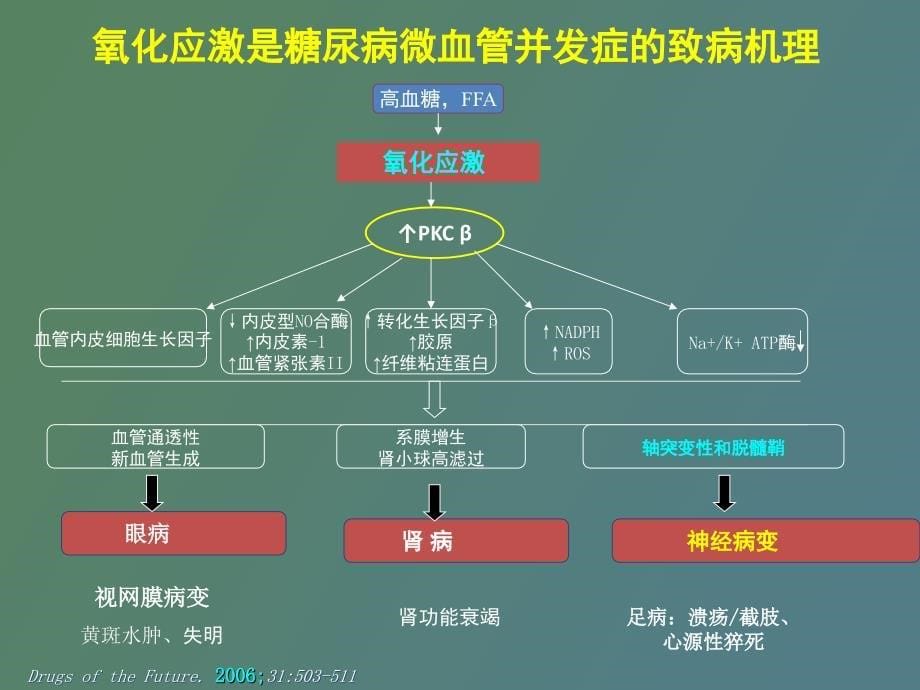 硫辛酸与糖尿病及其糖尿病慢性并发症_第5页