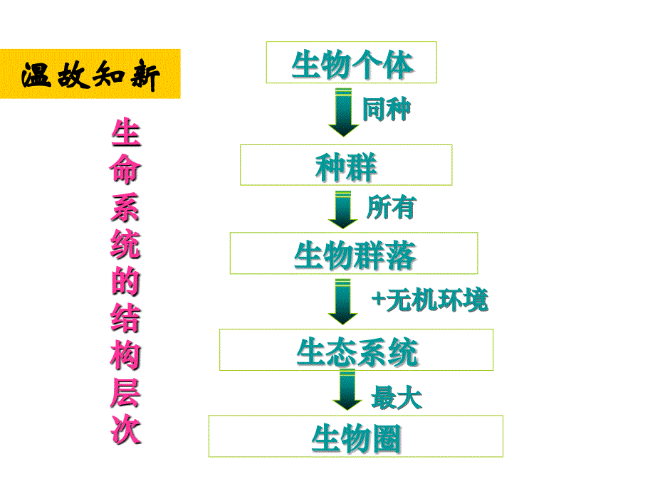 人教版高中生物必修3第5章第1节生态系统的结构共29张PPT_第1页