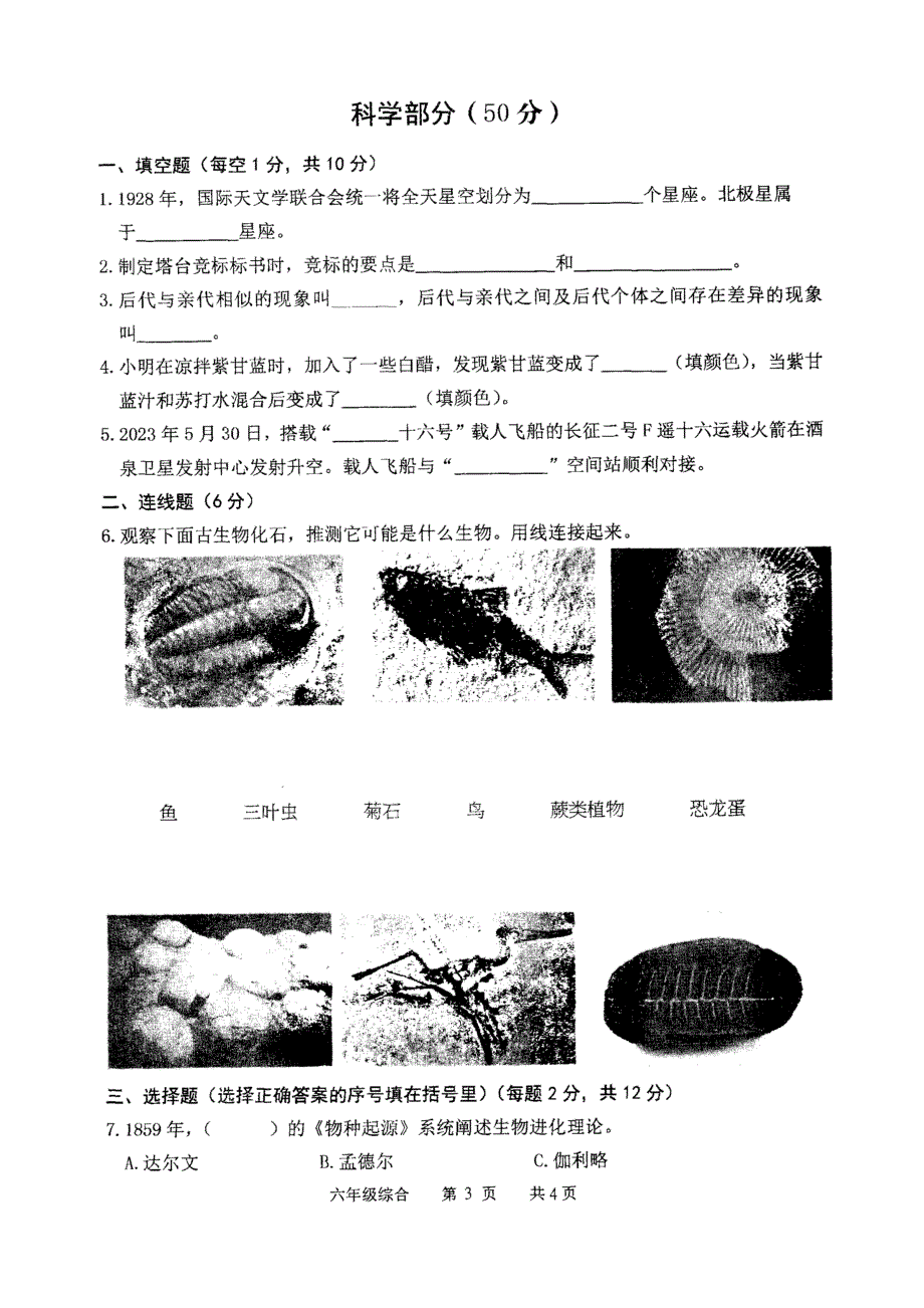 泗洪县六年级下期末检测综合试卷（2023年）_第3页