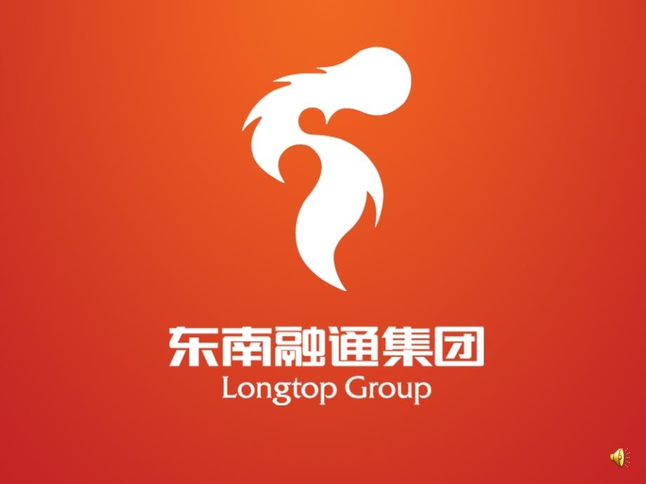 东南融通公司介绍_第1页