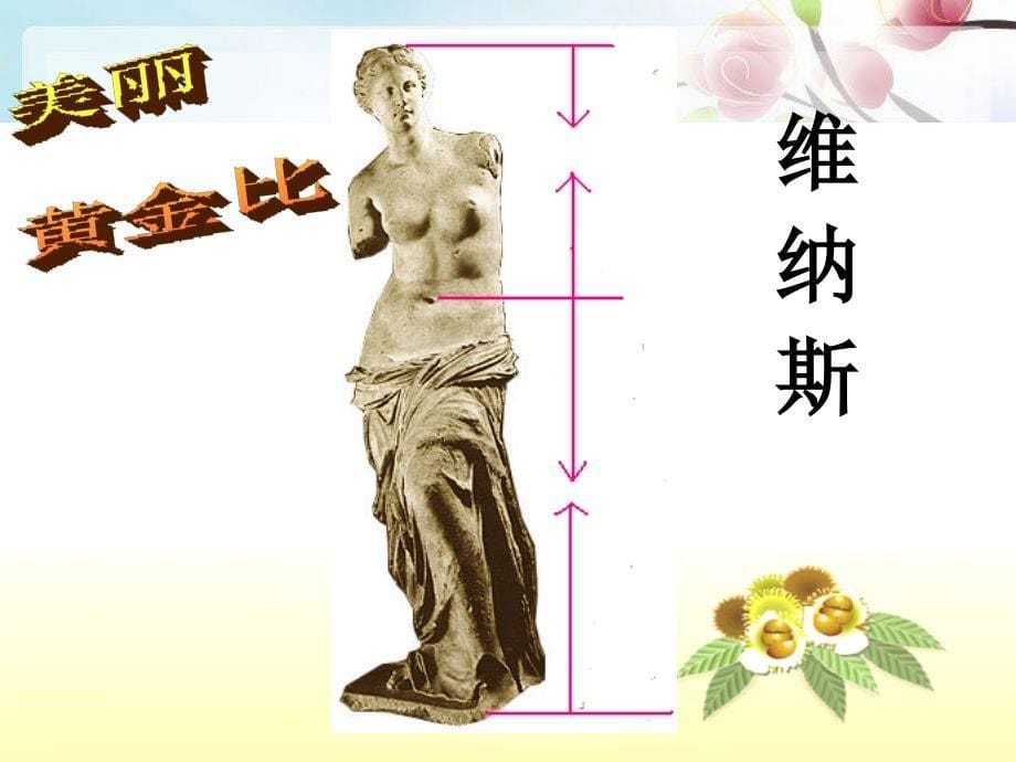 北师大版六年级数学上册课件找生活中的比_第5页