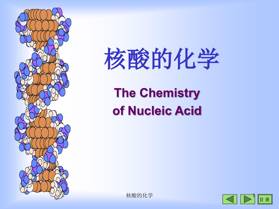 核酸的化学课件_第1页