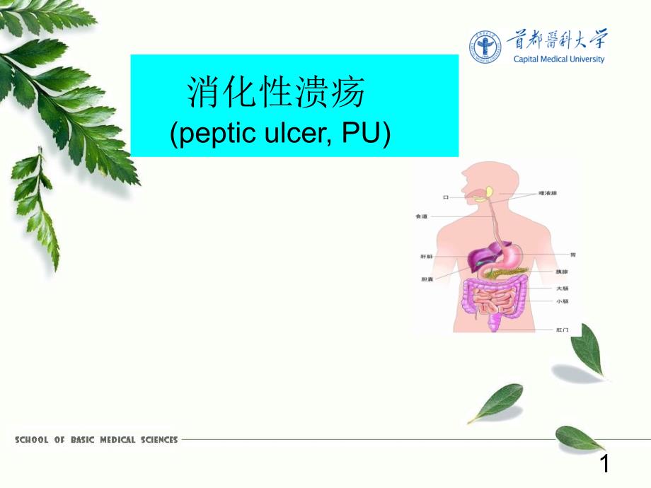 内科学：消化性溃疡_第1页