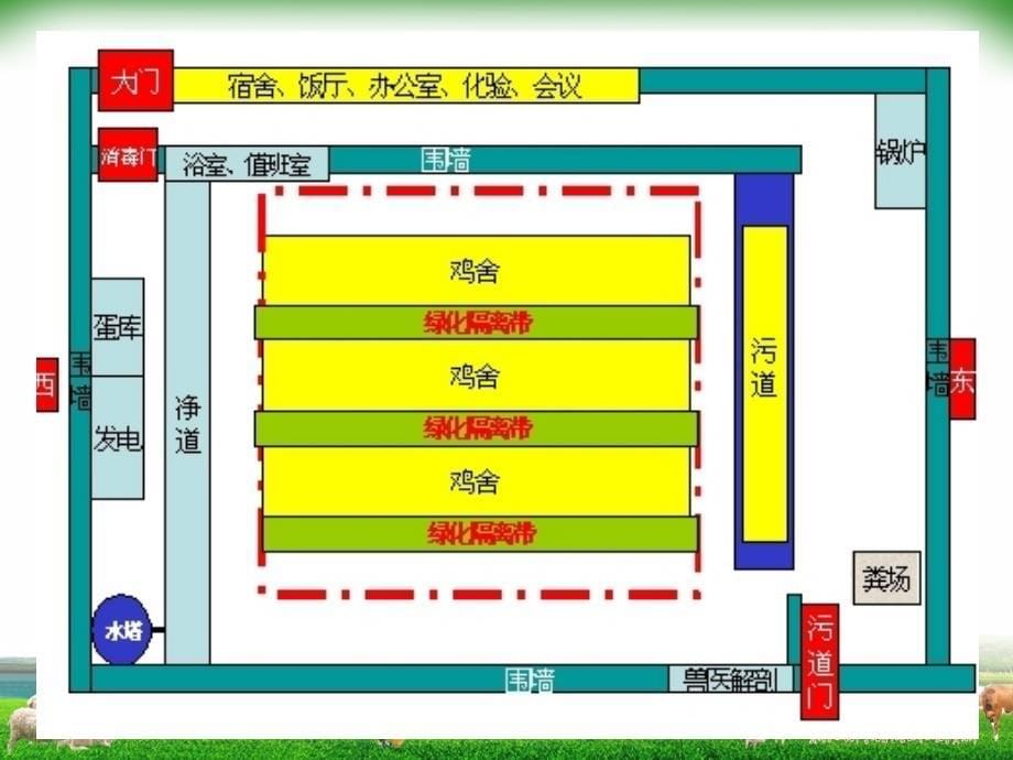 蛋鸡饲养管理技术讲座_第5页