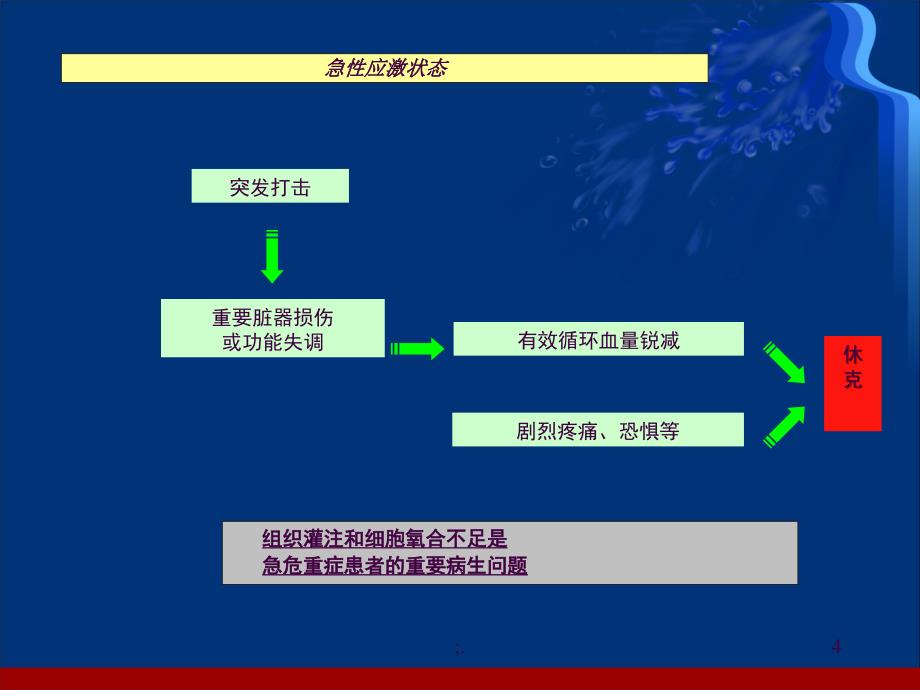 休克液体复苏护理巩月英ppt课件_第4页