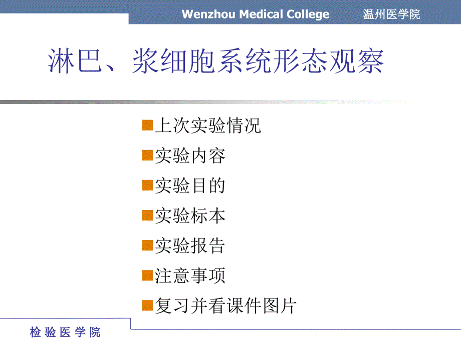 06年级实验淋浆细胞形态学_第2页