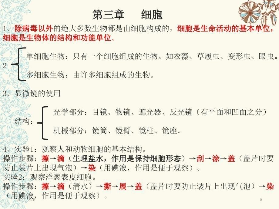 北师大版七年级上册生物复习提纲幻灯片_第5页