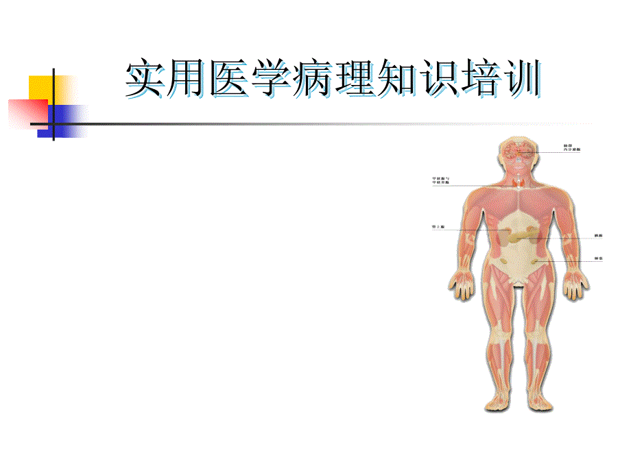 医学病理知识PPT课件_第1页