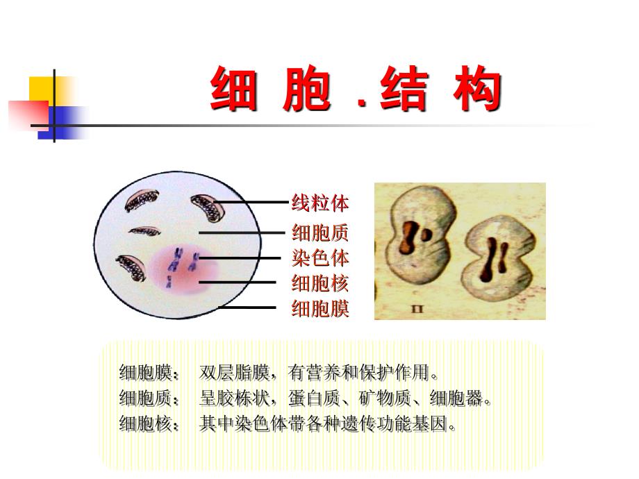 医学病理知识PPT课件_第4页