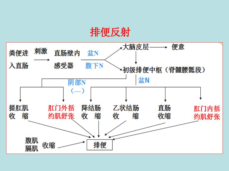 便秘的干预及护理_第4页