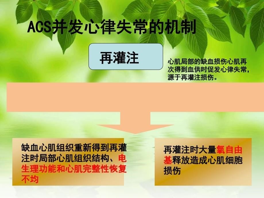 ACS心律失常的治疗_第5页