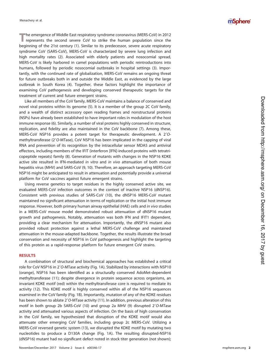 【病毒外文文献】2017 Middle East Respiratory Syndrome Coronavirus Nonstructural Protein 16 Is Necessary for Interferon Resistance and Vi_第2页