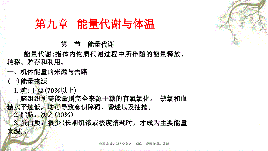 中国药科大学人体解剖生理学能量代谢与体温课件_第1页