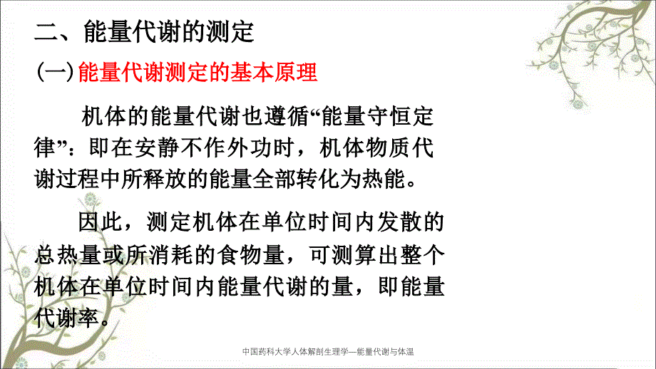 中国药科大学人体解剖生理学能量代谢与体温课件_第3页