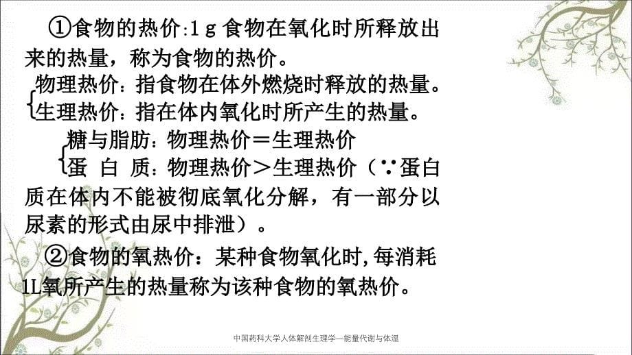 中国药科大学人体解剖生理学能量代谢与体温课件_第5页