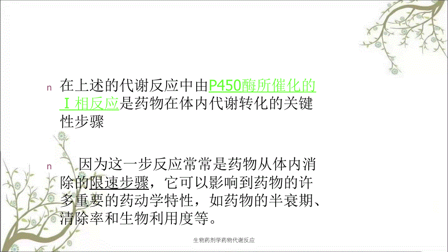 生物药剂学药物代谢反应_第2页