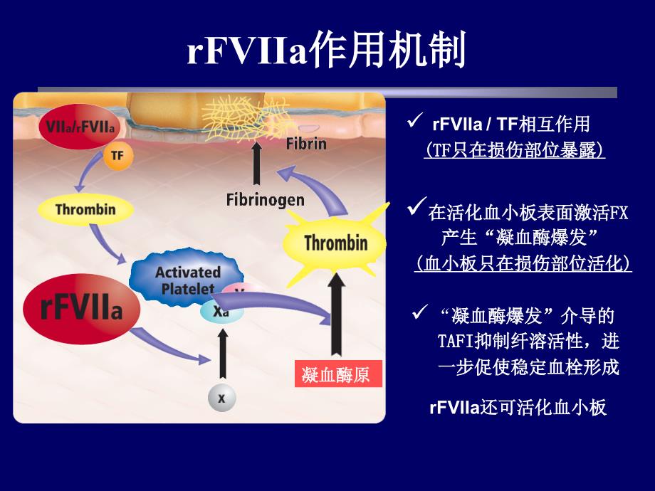 基因重组活化vii因子的临床应用_第4页