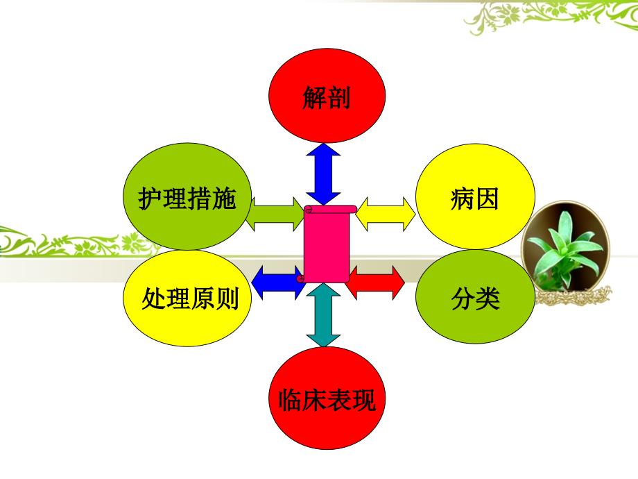 急性阑尾炎患者的护理PPT课件.ppt_第2页