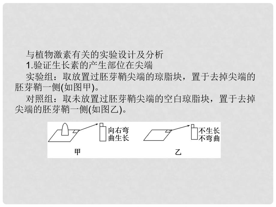 高中生物 专题培优（四）课件 新人教版必修3_第2页