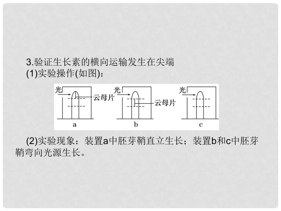 高中生物 专题培优（四）课件 新人教版必修3_第4页