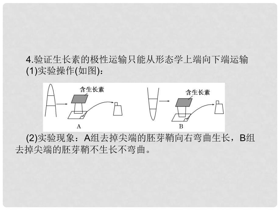 高中生物 专题培优（四）课件 新人教版必修3_第5页