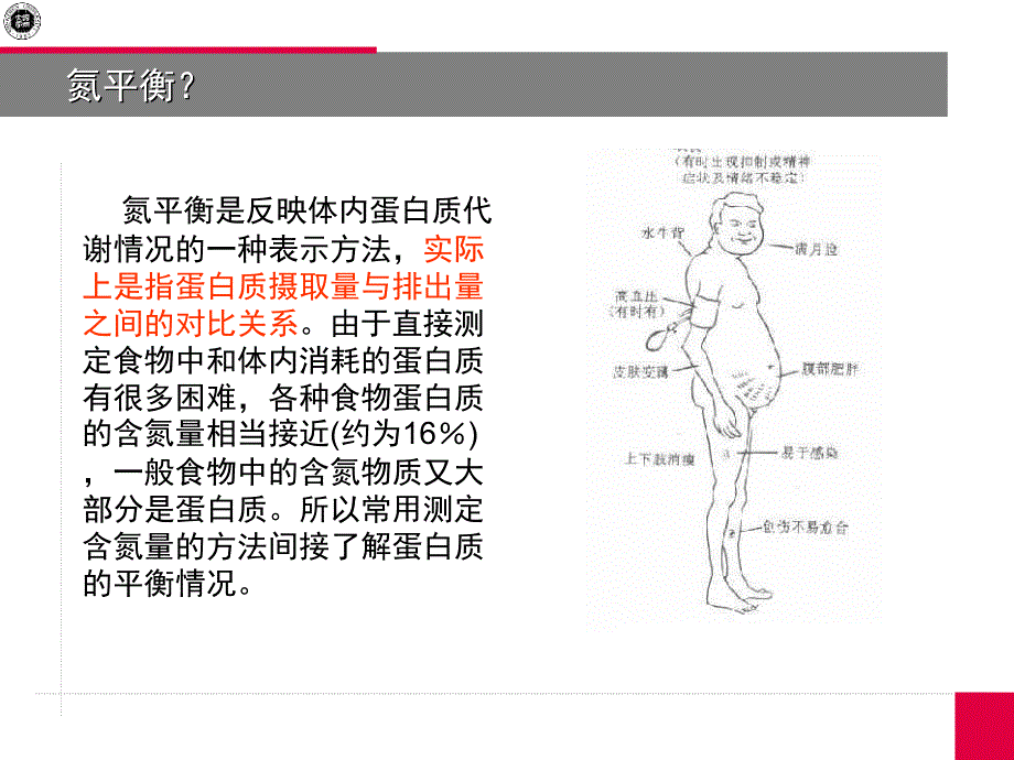 32(宏量营养素蛋白质量)_第3页