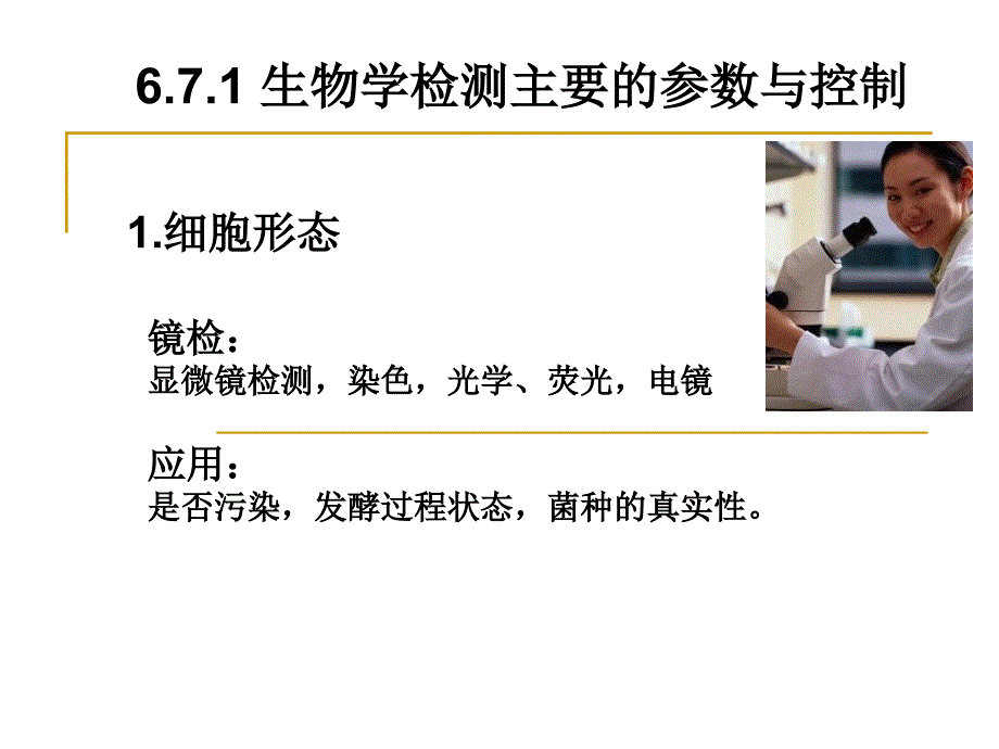 河南科技学院常景玲第六章7_第3页