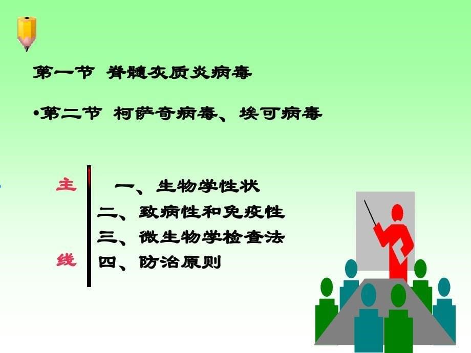 医学微生物学：第26章 肠道病毒_第5页