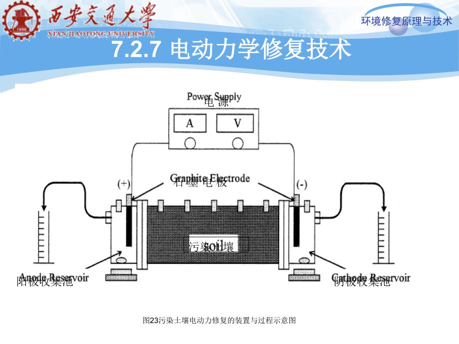 污染土壤生物修复ppt课件_第3页