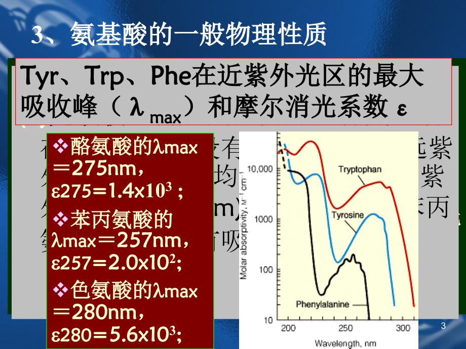 氨基酸生产工艺PPT精选文档_第3页